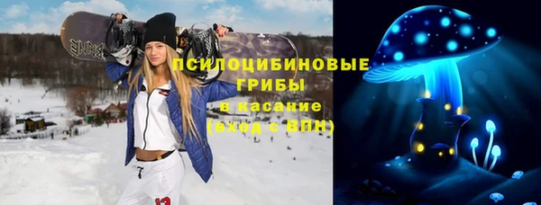 стафф Володарск