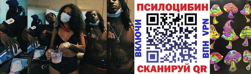 как найти закладки  Павловский Посад  Псилоцибиновые грибы мухоморы 
